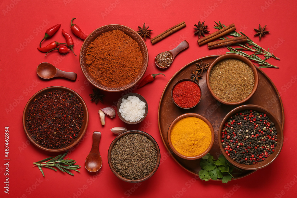 Composition with different spices on red background