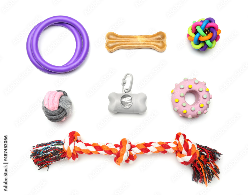 Set of pet care accessories on white background