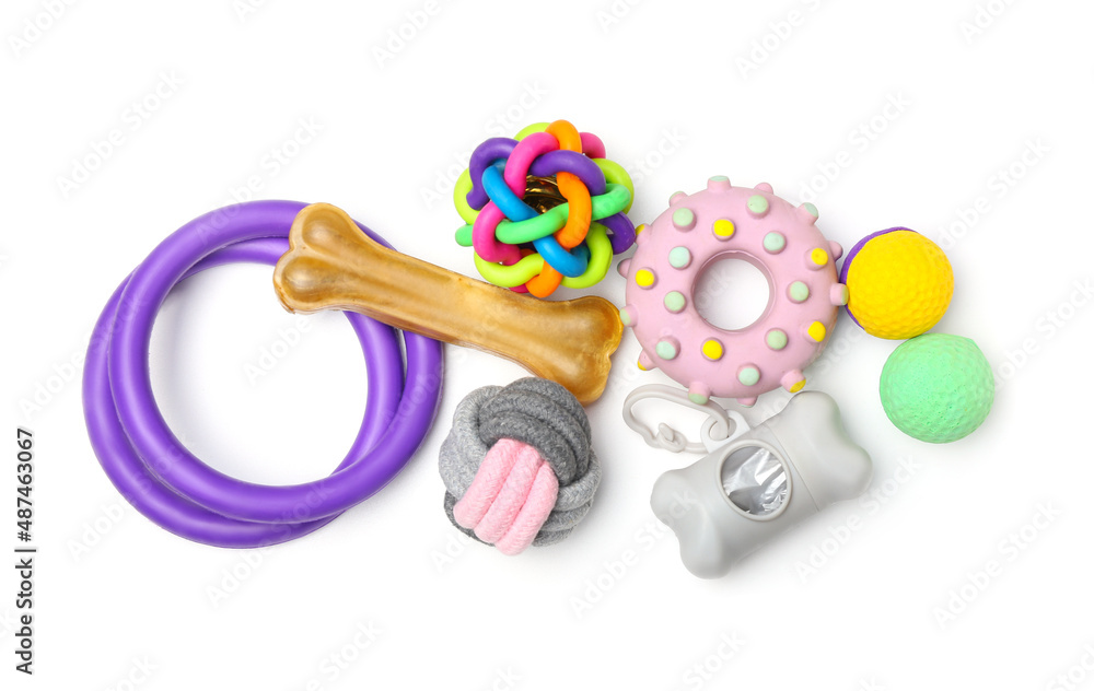 Set of pet care accessories on white background