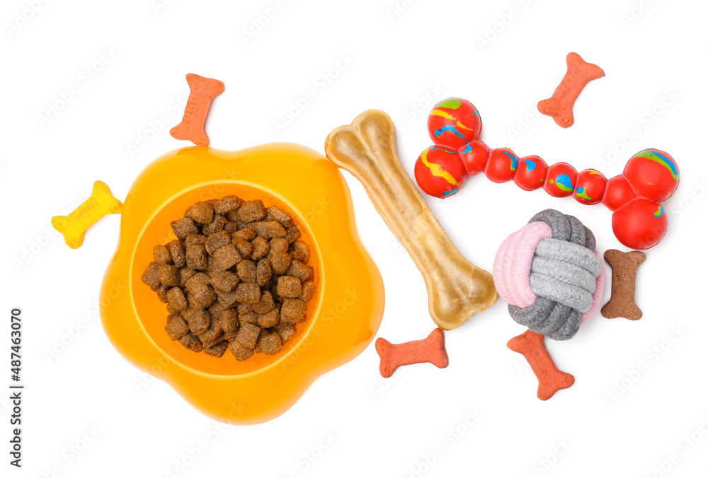 Bowl of pet food, snacks and toys on white background