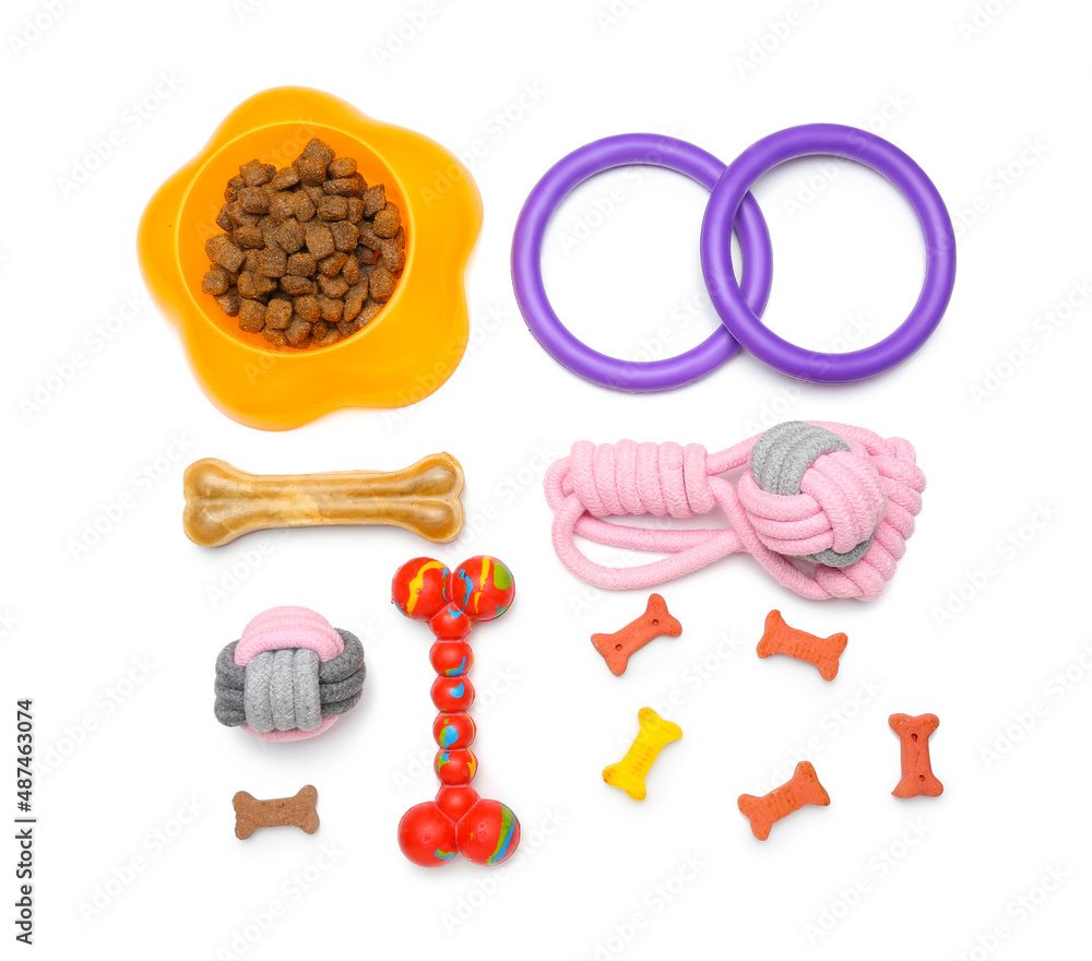 Set of pet accessories and food on white background