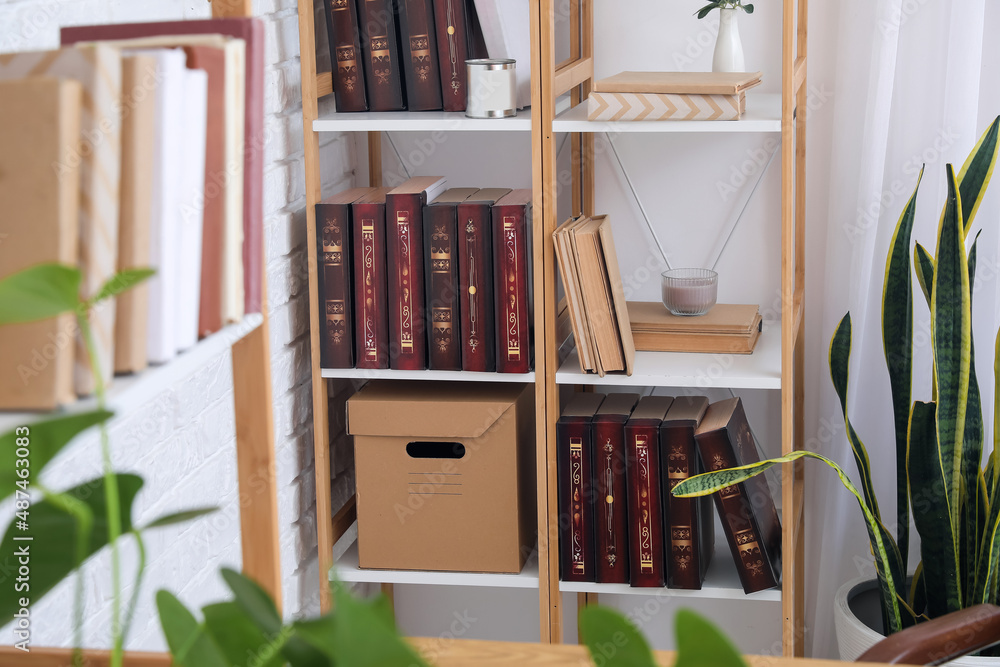 Wooden bookcase near light wall in office