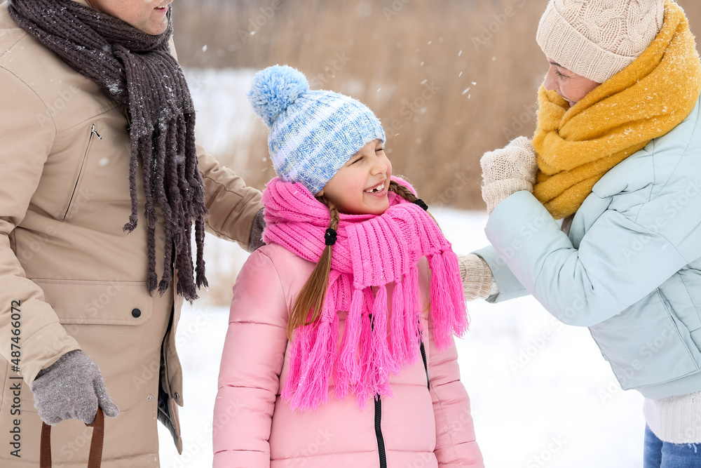 Happy little girl with her grandparents on snowy winter day