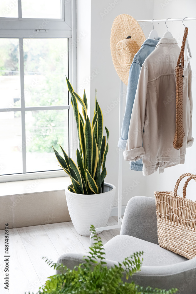 Rack with female clothes, hat and houseplant near big window