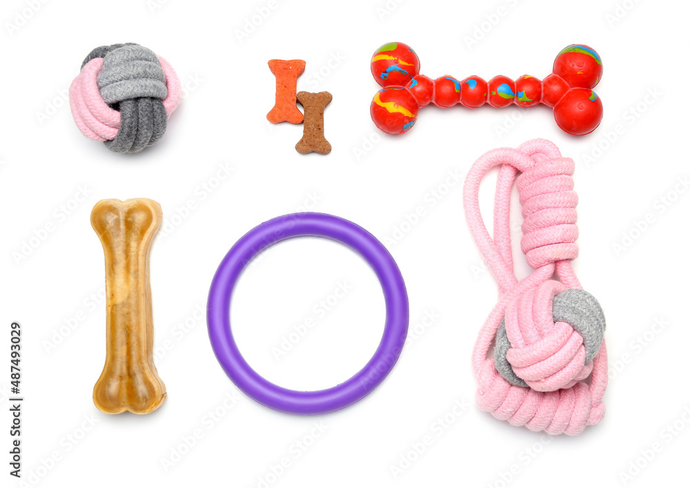 Set of pet care accessories on white background