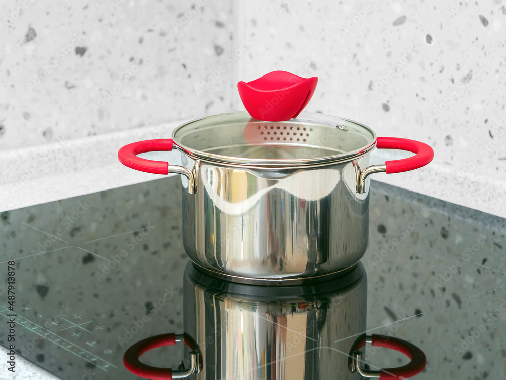 Stainless steel pot on an induction cooking surface.