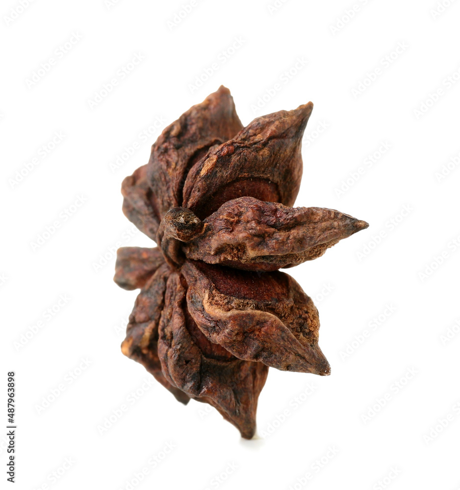 Aromatic anise star isolated on white background