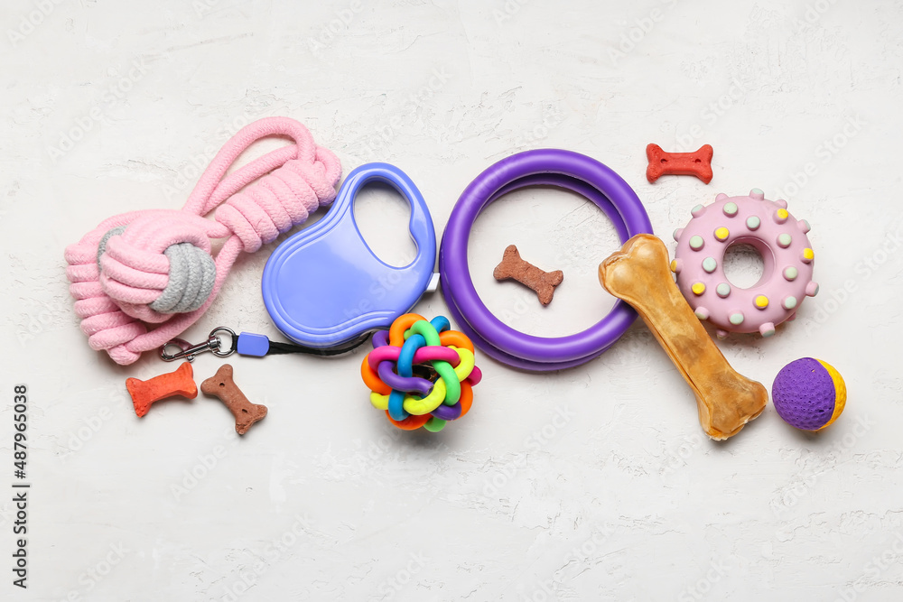 Set of pet care accessories on light background