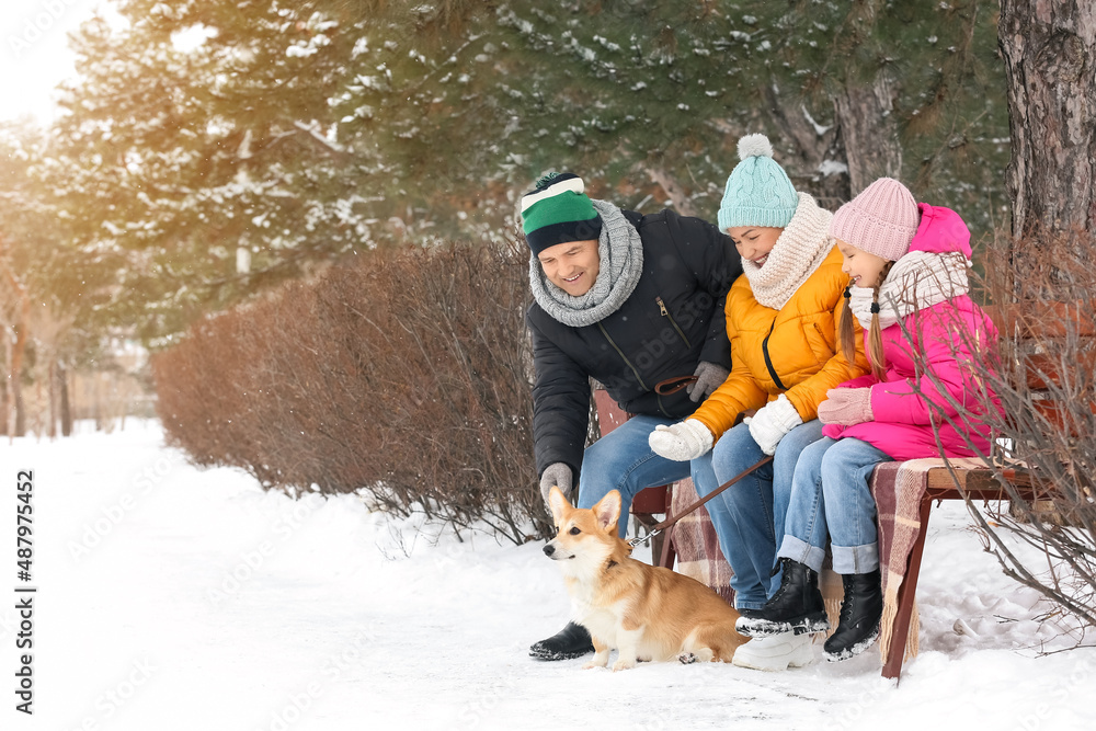 下雪的冬日，小女孩和她的祖父母以及柯基犬在公园里