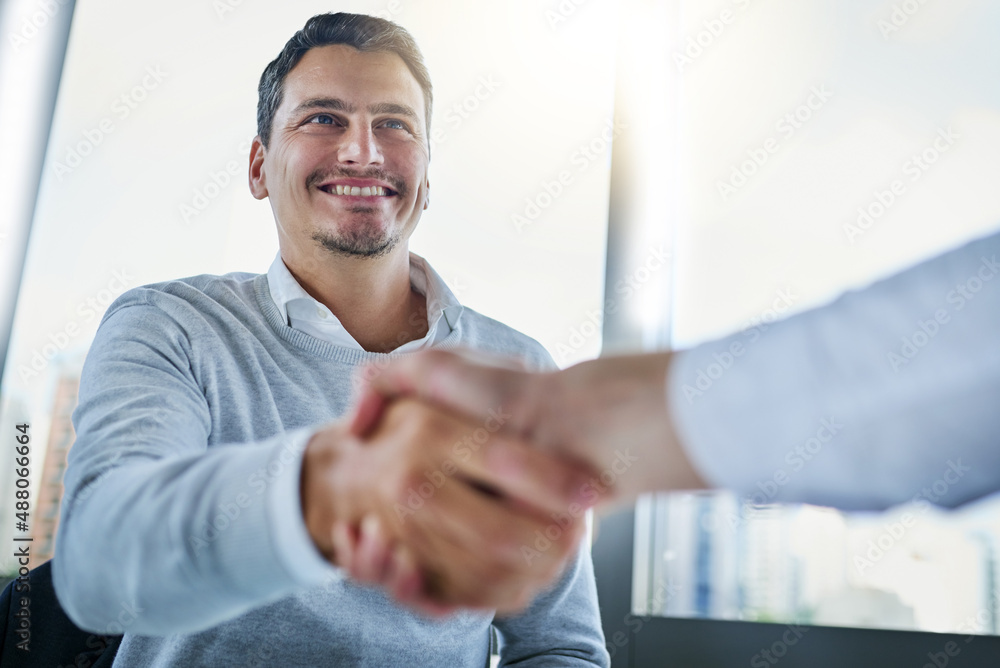 So glad to finally meet. Shot of two businessmen shaking hands in an office.