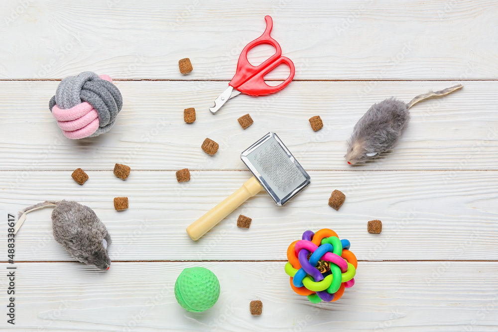 Different pet care accessories and food on light wooden background