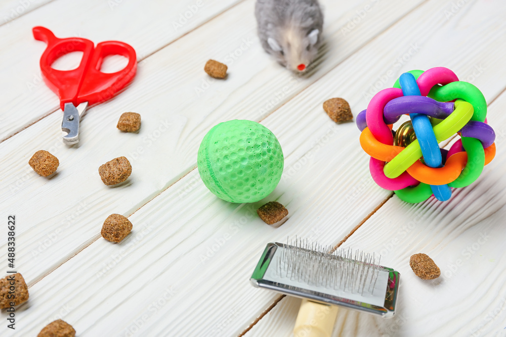 Different pet care accessories and food on light wooden background, closeup