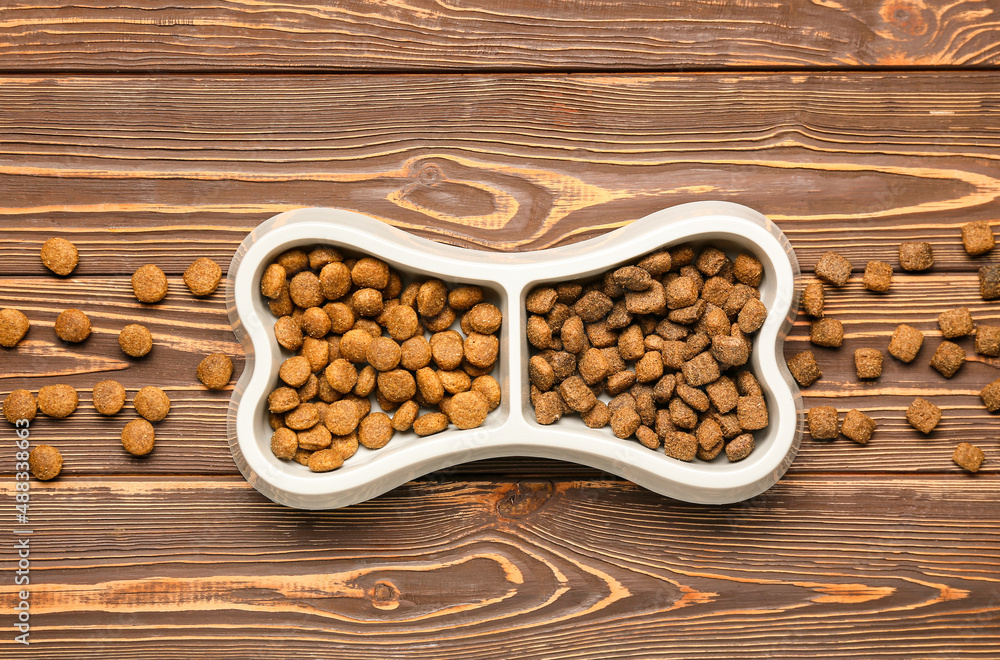 Bowl with tasty pet food on wooden background