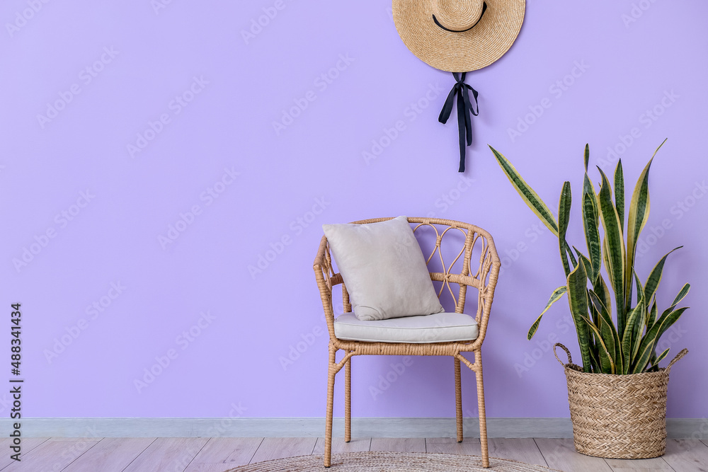 Wicker chair, houseplant and wicker hat near violet wall