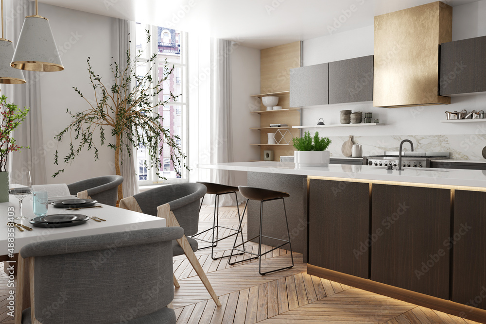 Modern interior of kitchen with living room	