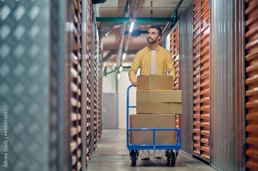 Tranquil order picker wheeling the platform cart along cargo containers