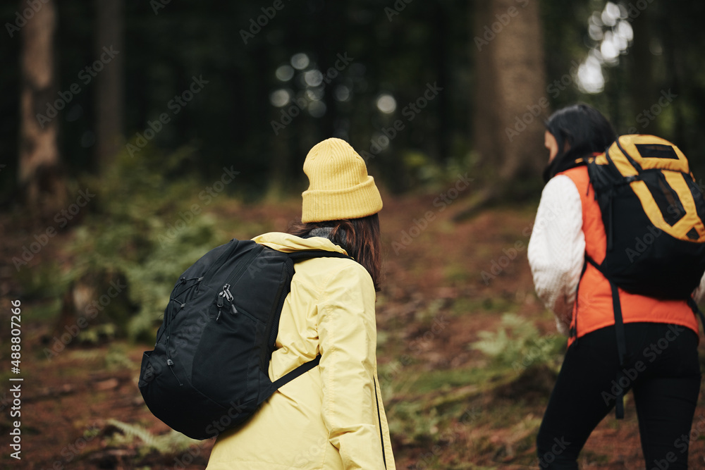 Friends hiking up a hill in the woods