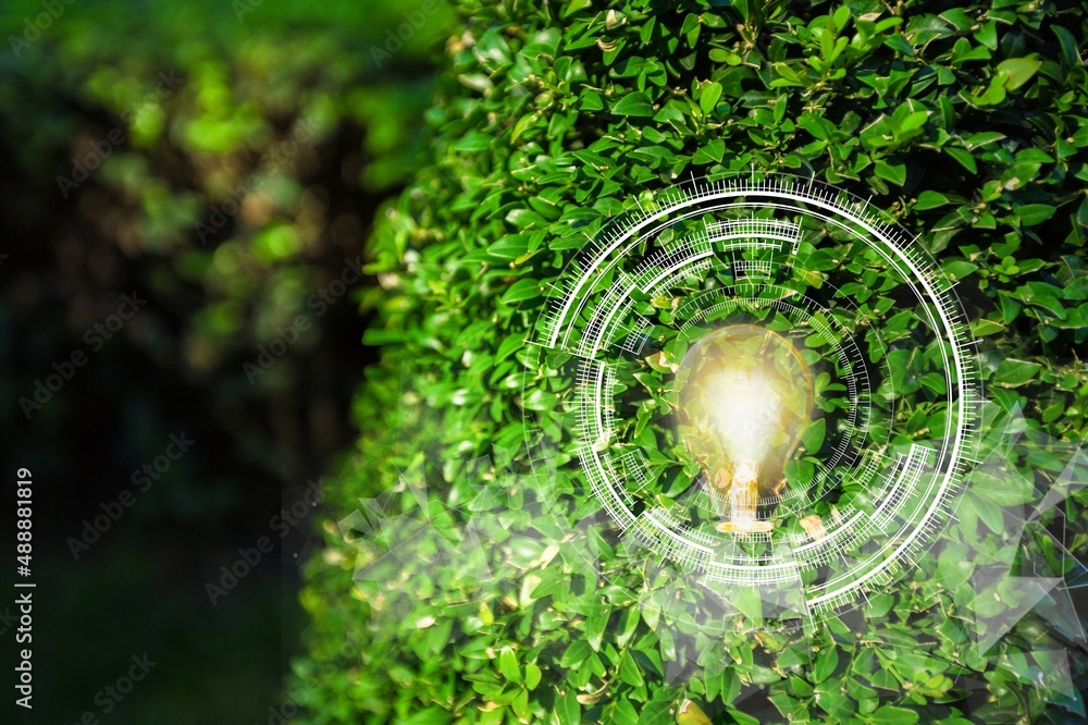 Green forest with moss and grass with lightbulb. Symbols of sustainable and eco friendly energy sour