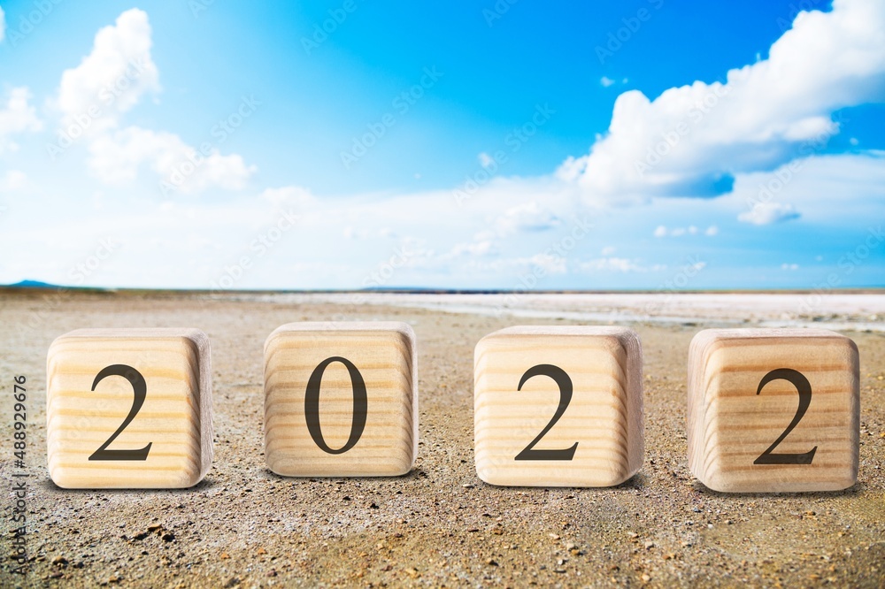 Goodbye year. Wooden blocks with numbers 2022 on nature background