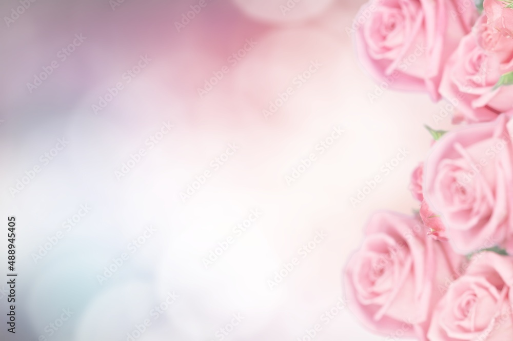 Blurred background with fresh roses for wallpaper, wedding card,