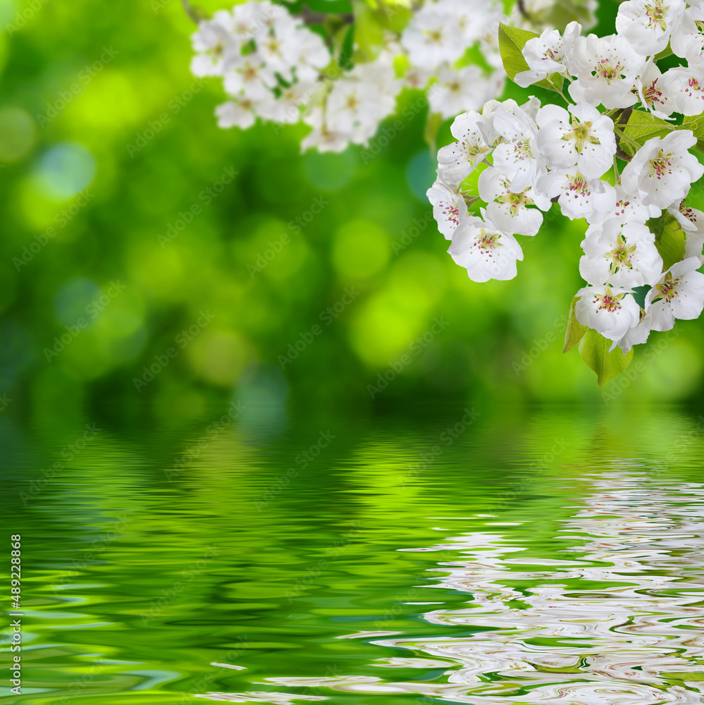 近水楼台春暖花开