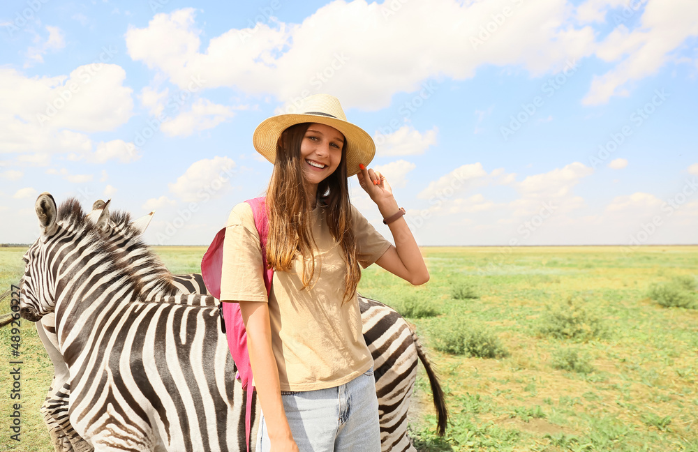 Female tourist with beautiful zebras in wildlife sanctuary