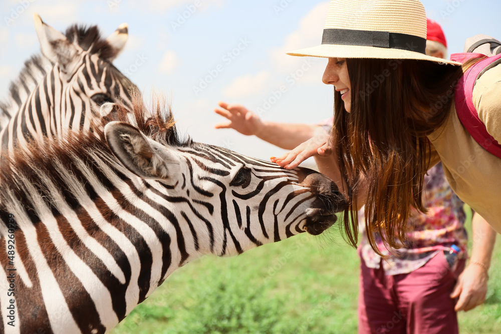 Female tourist with beautiful zebra in wildlife sanctuary