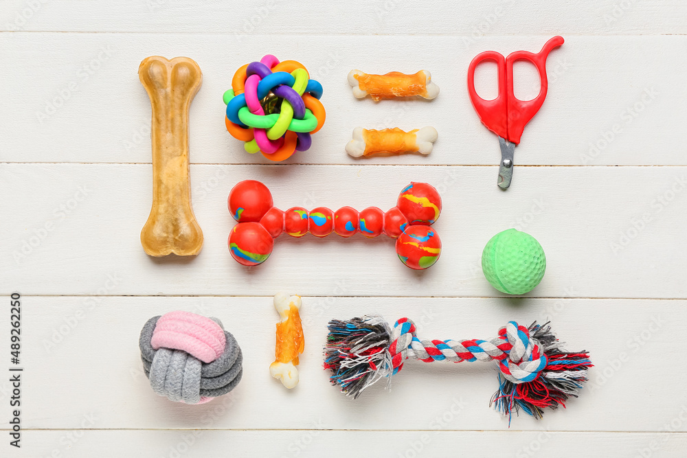 Different pet care accessories and snacks on light wooden background