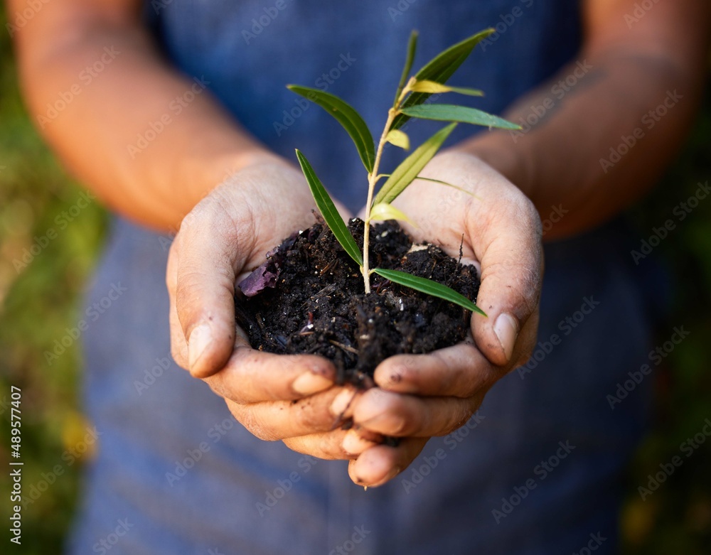 Things grow when theyre taken care of. Cropped shot of an unrecognizable man standing alone and hold