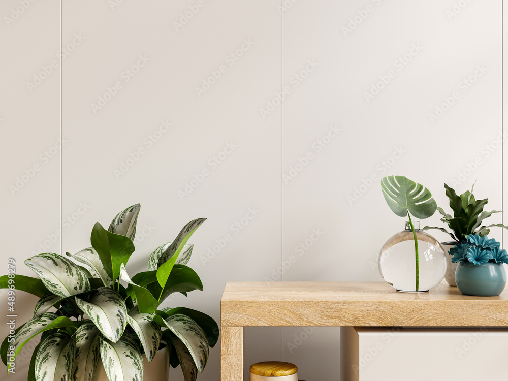 Mockup white wall with plants on cabinet wooden.