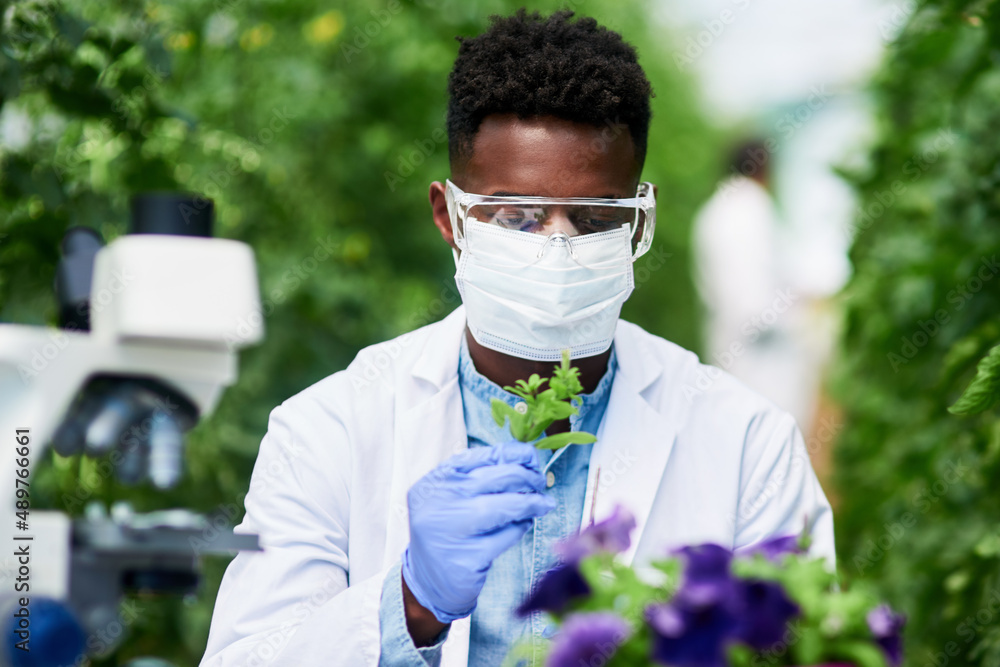 我可能发现了一个新物种。一位年轻的植物学家工作并发现新植物的照片