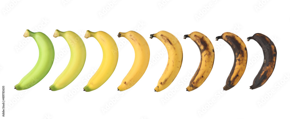 Ripening stages of banana isolated on white background.