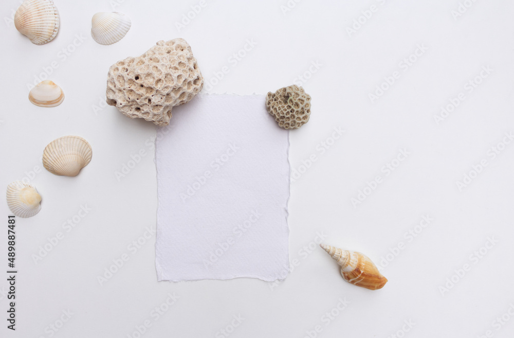 Composition of exotic seashells on white table background and blank greeting card. Summer vacation o