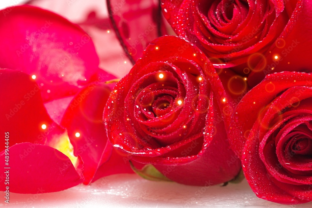 Bouquet of beautiful fresh bright red roses