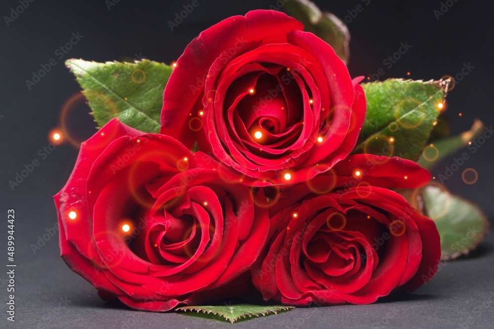 Bouquet of beautiful fresh bright red roses