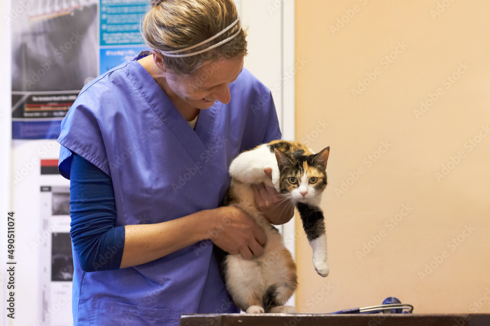 I dont want to be here. Shot of a cat getting examined by a vet.