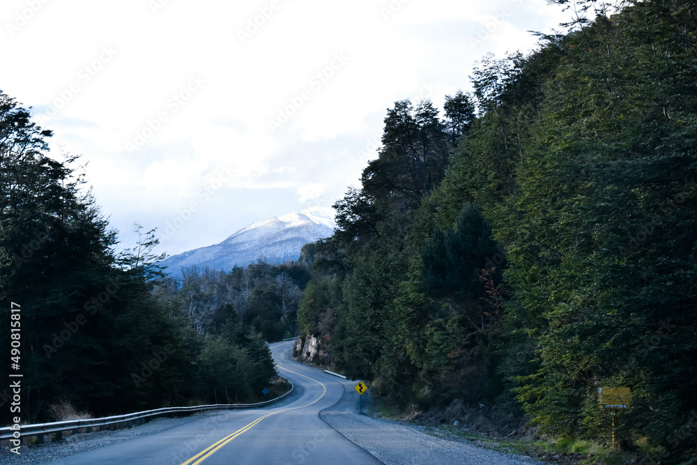 Viaje en carretera con paisaje de montaña nevada y bosque tupido.