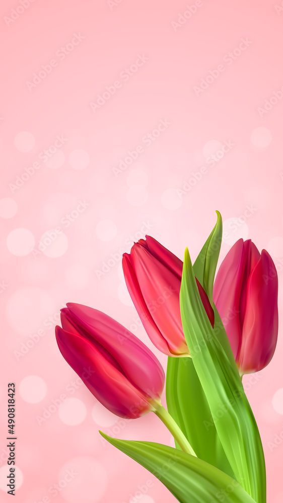 Realistic Natural Pink Tulips Flower Background. Illustration