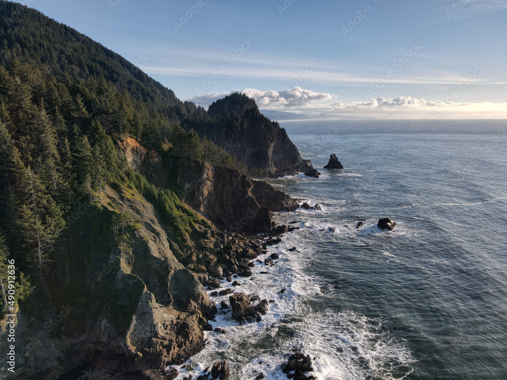 蓝色的大海，有岩石的海岸和森林