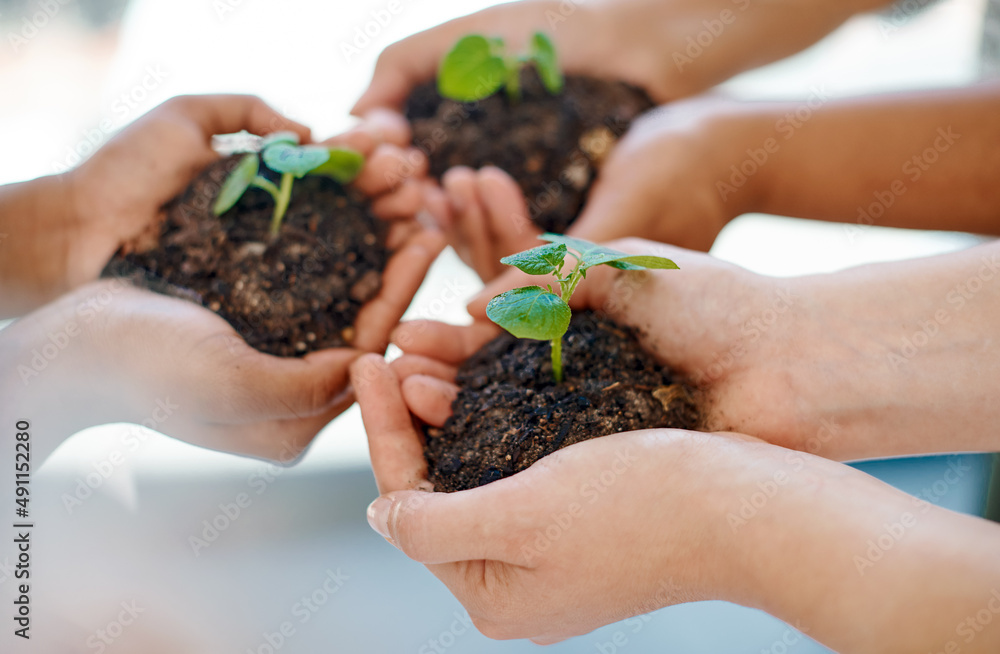 Start planting your seeds of success today. Cropped shot of an unrecognizable group of businesswomen