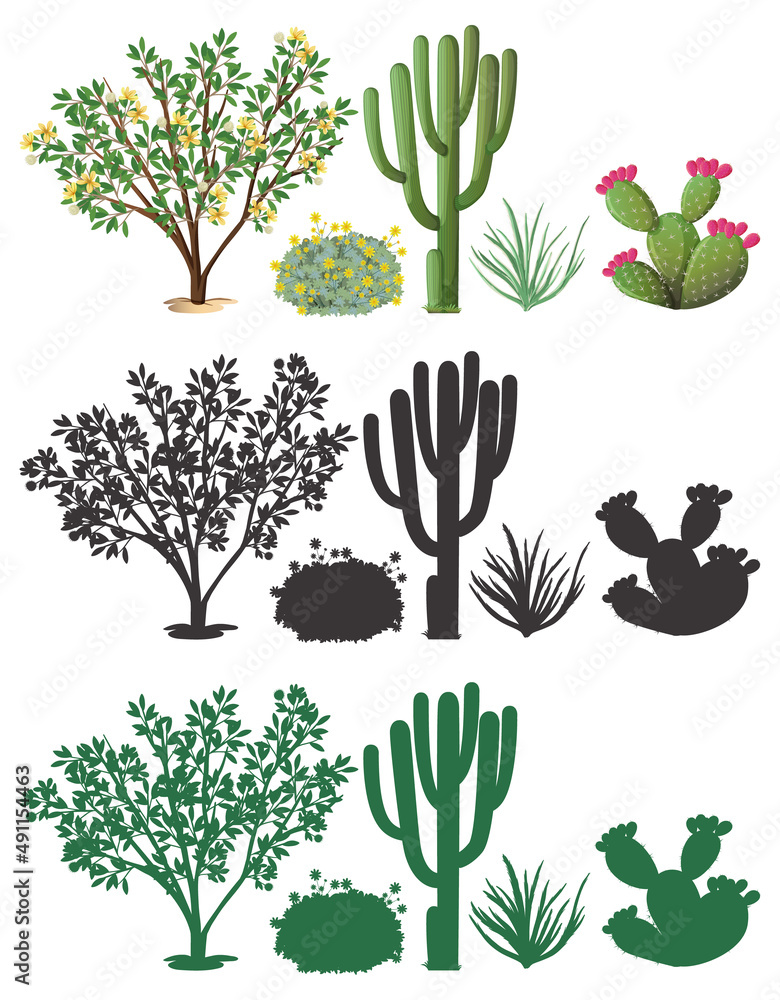 Different plants with silhouette