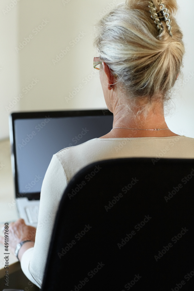 Connected to the world from the comfort of her home. Rear-view of a woman working on her laptop.