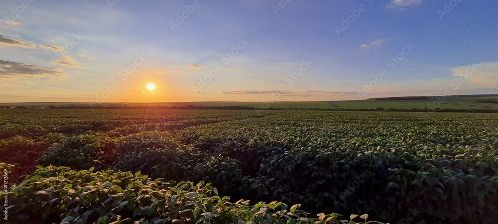 por do sol na lavoura