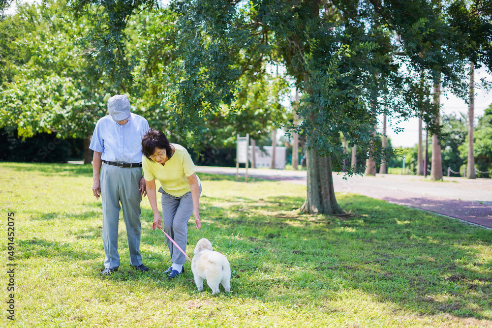 夫婦で犬の散歩をする元気なシニア