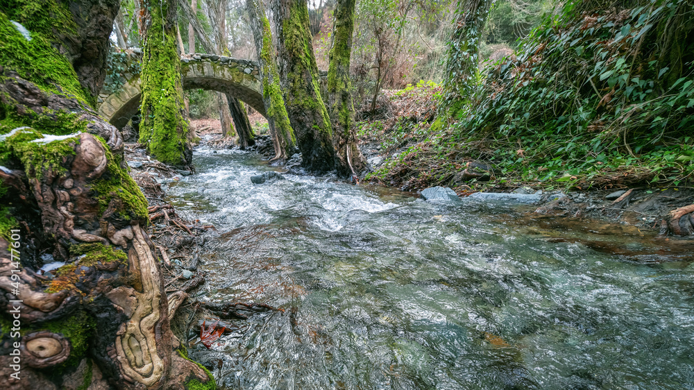 Forest landscape with medieval stone bridge in Troodos mountains. Venetian historical landmark in Cy