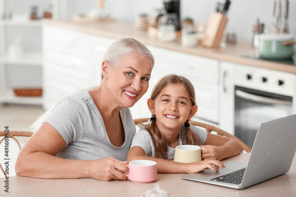 Little girl and her grandmother with cups of tea using laptop in kitchen