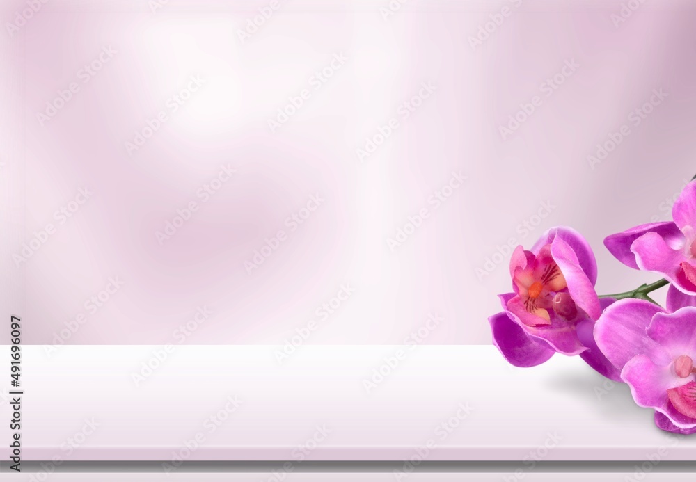 Purple fresh flower on bright background