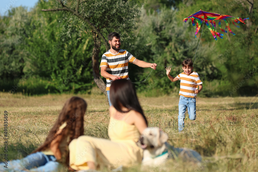 Cute little boy flying kite with his father outdoors