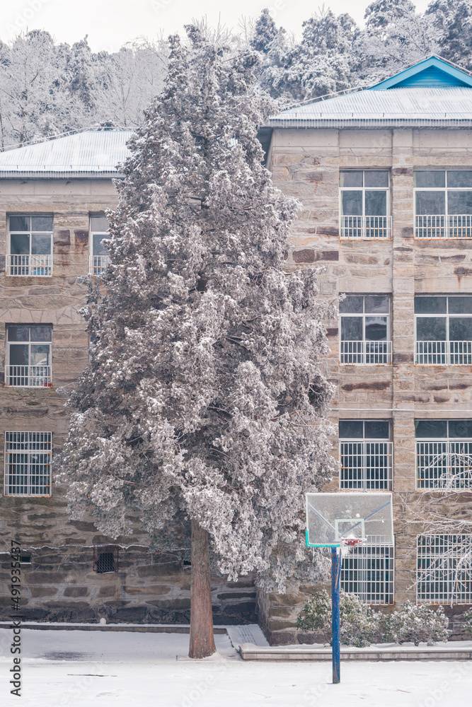 江西省九江市庐山5A景区冬季雪景