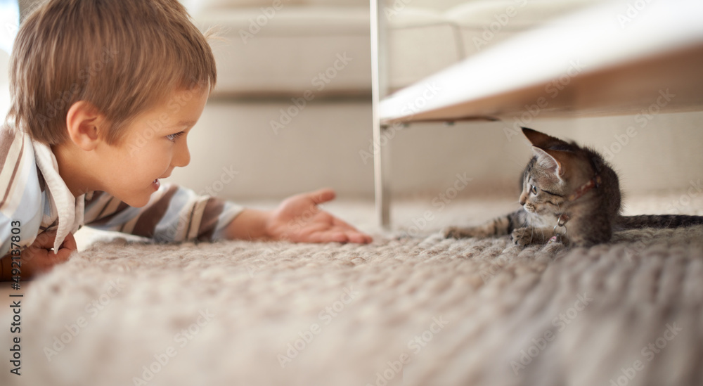 Lets be friends. A little boy lying on his bedroom floor and playing with a kitten.